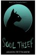 Soul Thief by Aileen Pettigrew