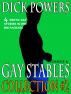Gay Stables: The Collection #2 (Stories 5-8) by Dick Powers