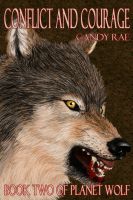 Cover for 'Conflict and Courage'