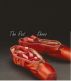 The Red Shoes by Bea Turvey