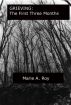 Grieving:  The First Three Months by Marie Roy
