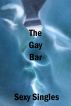 The Gay Bar - Sexy Single by Sexy Singles