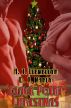 Blackpoint Christmas by D. J. Manly