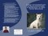 Learn to Understand & Train your Cairn Terrier Dog to Have Good Behavior by Vince Stead
