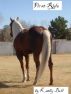 First Ride - A Short Story by Kathy Bell