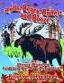 Bulls, Bears, Bullets, and Booze by Jim Prentice
