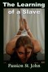The Learning Of A Slave by Passion St. John