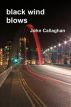 Black WInd Blows by John Callaghan