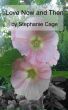 Love Now and Then by Stephanie Cage