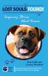 Lost Souls: FOUND! Inspiring Stories About Boxers by Kyla Duffy
