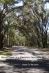 Reflections of a Barefoot Southern Boy by John Reaves