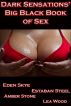 The Big Black Book of Sex by Dark Sensations 