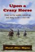 Upon a Crazy Horse by Frank Allan Rogers