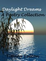 Cover for 'Daylight Dreams'