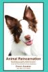 Animal Reincarnation: Everything You Always Wanted to Know! about Pet Reincarnation plus by Brent Atwater