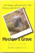 Mystery's Grave by Debra Chapoton