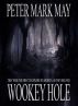 Wookey Hole by Peter Mark May