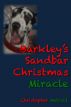 Barkley's Sandbar Christmas Miracle by Christopher Metcalf