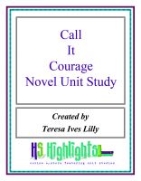 Cover for 'Call It Courage Novel Unit Study'