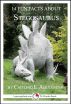 14 Fun Facts About Stegosaurus: A 15-Minute Book by Caitlind Alexander