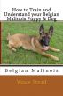 How to Train and Understand your Belgian Malinois Puppy & Dog by Vince Stead