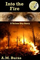 Cover for 'Into the Fire'
