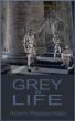 The Grey Life by Adam Wasserman