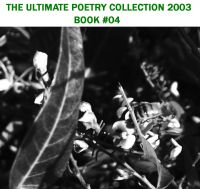 Cover for 'The Ultimate Poetry Collection 2003 - Book Four'