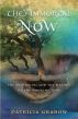 THE IMMORTAL NOW: Ascension and the Nature of the Present Time by Patricia Grabow