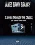 Slipping through the cracks by James Edwin Branch