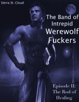 Cover for 'The Band of Intrepid Werewolf Fuckers: Episode II: The Rod of Healing'