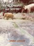 An Elephant for Jotto by Shine LeFlur