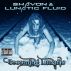 BECOMING LUNATIC (e-lyric book) by David Courtney