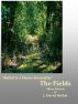 The Fields by J David Bethel