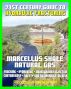21st Century Guide to Hydraulic Fracturing, Underground Injection, Fracking, Hydrofrac, Marcellus Shale Natural Gas Production Controversy, Environmental and Safety Risks, Water Pollution by Progressive Management