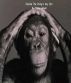 Charlie the Chimps Day Out by Tracy Potter
