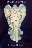 Cover for 'Angels Unawares'