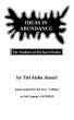 Ideas in Abundance by Tiel Aisha Ansari