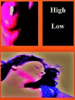 Cover for 'High Low'