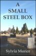 A Small Steel Box by Sylvia Morice