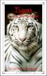 Tigers: The Lion With Stripes by Caitlind Alexander