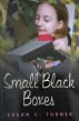 Small Black Boxes by Susan C. Turner