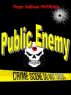 Public Enemy by Hope Sullivan McMickle