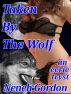 Taken By The Wolf - an eerie tryst by Neneh Gordon