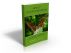 How To Follow Your Dream: The Power Of Imagery by michelle wynn