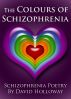The Colours of Schizophrenia by David Holloway