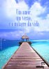 Um amor, um verÃ£o, e o milagre da vida by Isa Colli