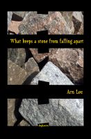 Cover for 'What Keeps A Stone From Falling Apart'