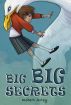 Big Big Secrets by Robert Arley