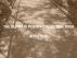 THE ULTIMATE POETRY COLLECTION 2002 - BOOK ONE by Monica P